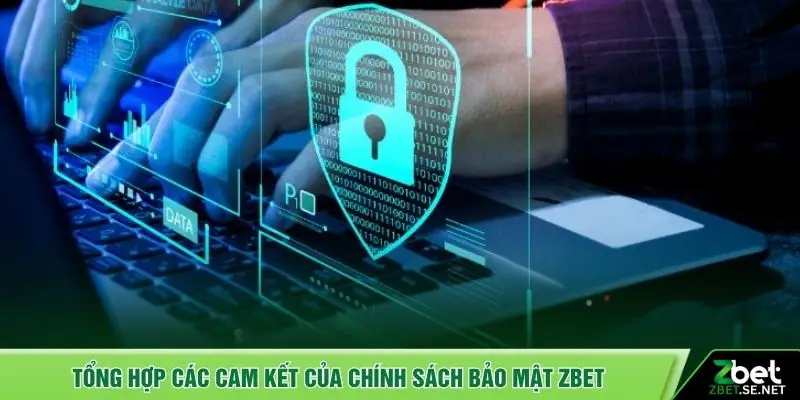 Tổng hợp các cam kết của chính sách bảo mật ZBET